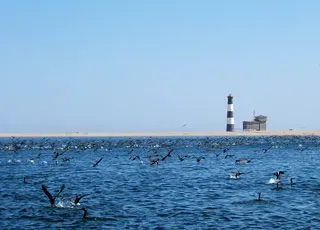 Escale Namibie (Walvis Bay)