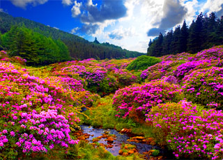 Escale Irlande (Waterford)