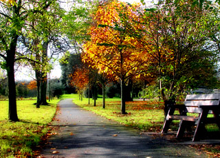 escale,Waterford-Irlande_zoom,IE,WAT,12229.jpg