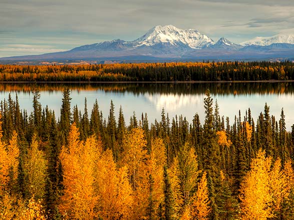 Escale Alaska (Wrangell)