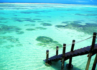 escale,Zanzibar-République-unie De Tanzanie_zoom,TZ,ZNZ,66713.jpg