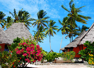 escale,Zanzibar-République-unie De Tanzanie_zoom,TZ,ZNZ,66714.jpg