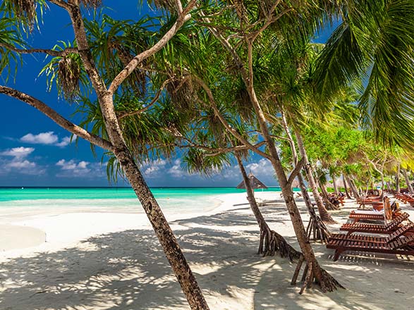 https://static.abcroisiere.com/images/fr/escales/escale,lautoka-lautoka_zoom,FJ,LTK,34363.jpg
