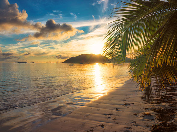 https://static.abcroisiere.com/images/fr/escales/escale,lautoka-lautoka_zoom,FJ,LTK,34366.jpg