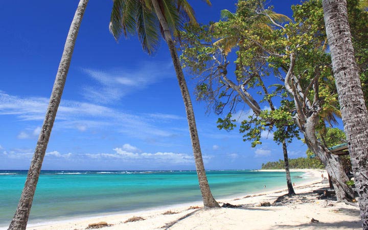 escale,marie-galante-guadeloupe_720x450,GP,GBJ,44448.jpg