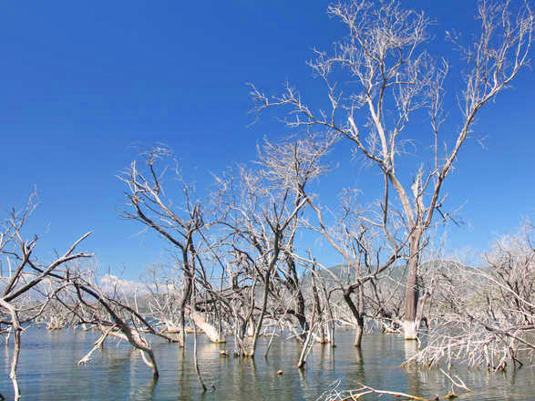 https://static.abcroisiere.com/images/fr/escales/escale,saint domingue-saint domingue_zoom,DO,SDQ,519571.jpg