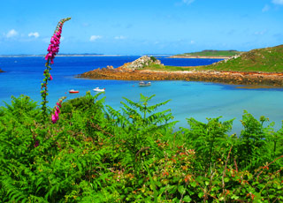 escale,îles Scilly-Royaume-uni_zoom,GB,ISC,8765.jpg