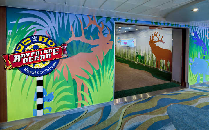 navire,allure-of-the-seas_720x450,475,48359.jpg