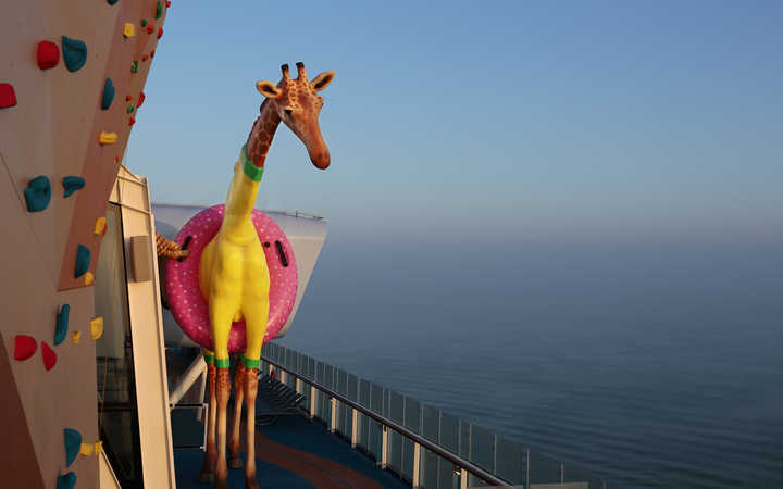 navire,anthem-of-the-seas_720x450,1273,48431.jpg