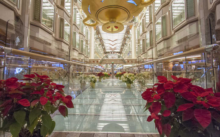 navire,independence-of-the-seas_720x450,389,48759.jpg