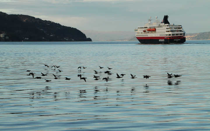 Navire MS Nordnorge
