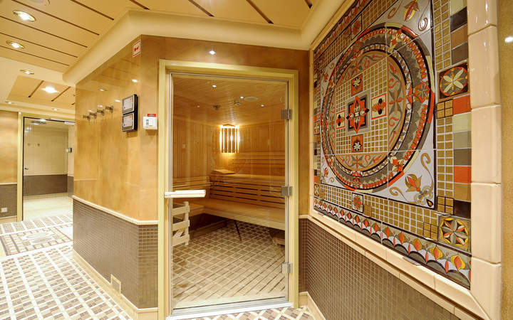 navire,msc-magnifica_720x450,430,514859.jpg