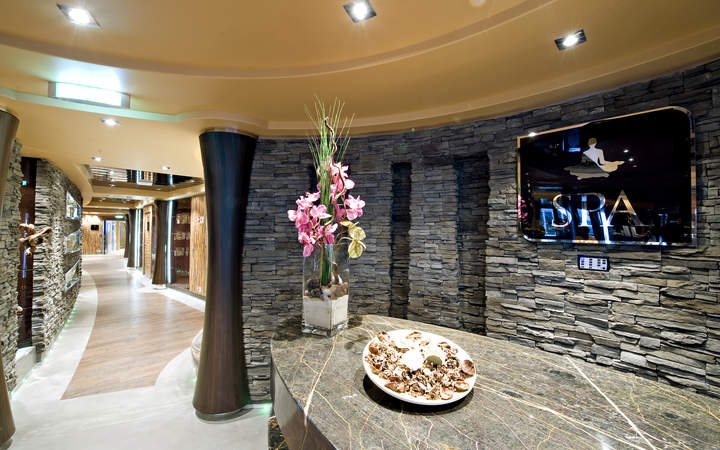 navire,msc-splendida_720x450,407,513113.jpg