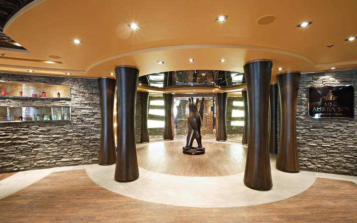 navire,msc-splendida_720x450,407,513117.jpg