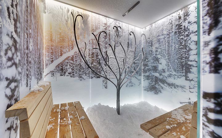 Photo MSC Aurea Spa - Snow Room