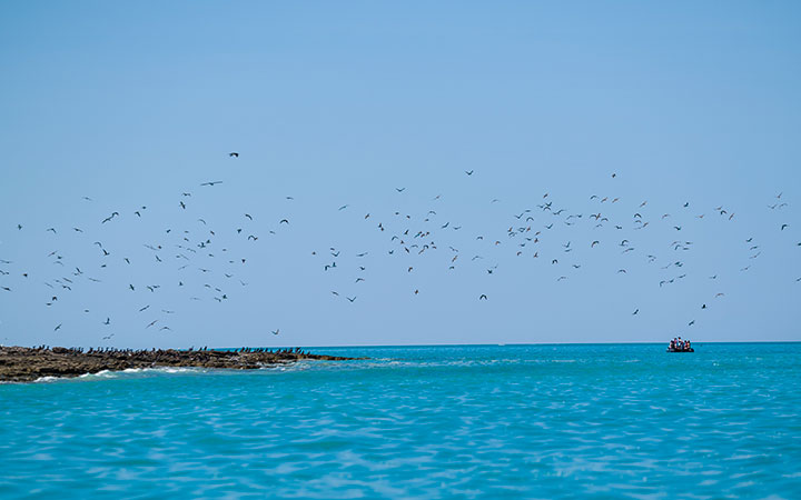 Escale Lacepede Islands