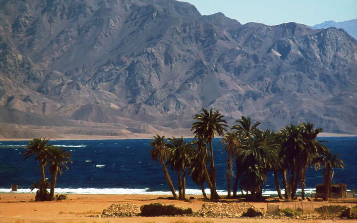 520859_720x450.jpg