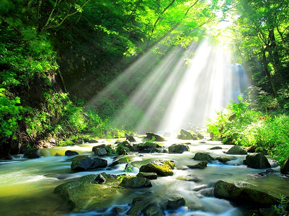 Escale Japon (Akita)