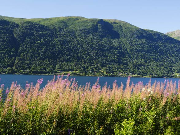 Escale Norvège (Andalsnes)