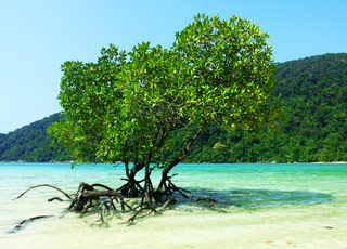 Escale Guinée-Bissau (Archipel des Bijagos)