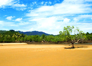 Escale Guinée-Bissau (Archipel des Bijagos)