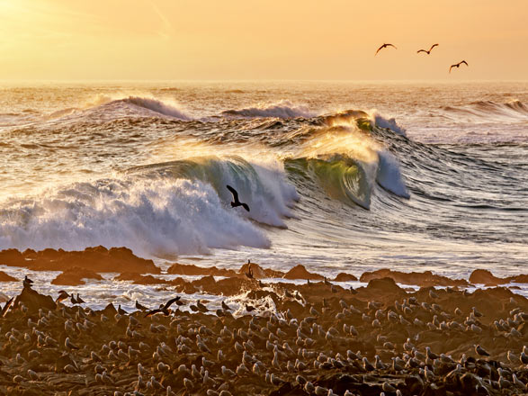 Escale Chili (Arica)