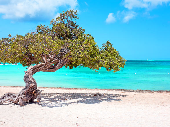 Escale Antilles (Aruba)