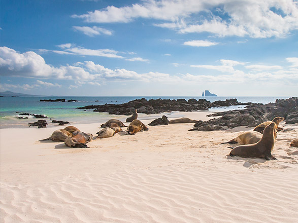 Escale Iles Galapagos (Baltra)