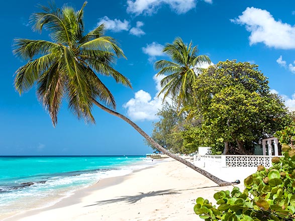 Escale La Barbade (River Bay)