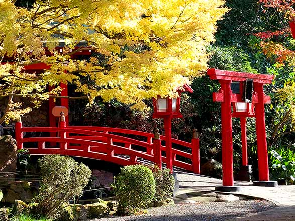 Escale Japon (Beppu)