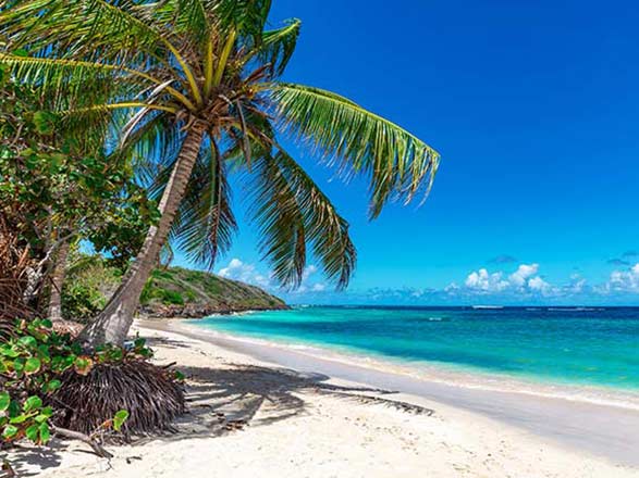 Escale Bahamas (Bimini)