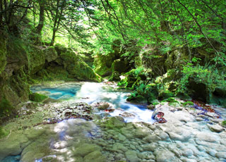 Escale La Dominique (Cabrits)