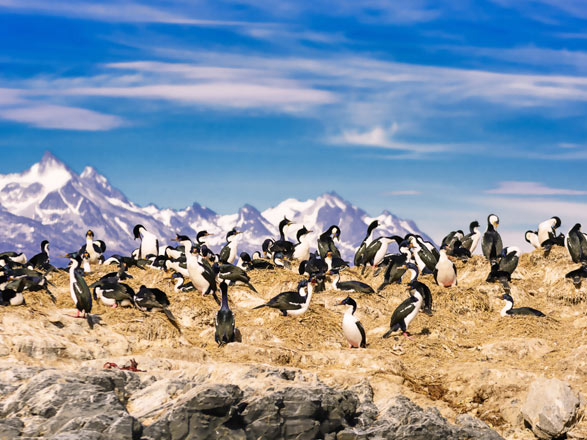 Escale Canal de Beagle