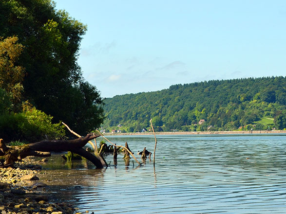 Escale CAUDEBEC-EN-CAUX