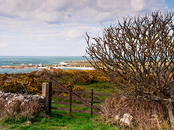 Escale Normandie (Cherbourg)
