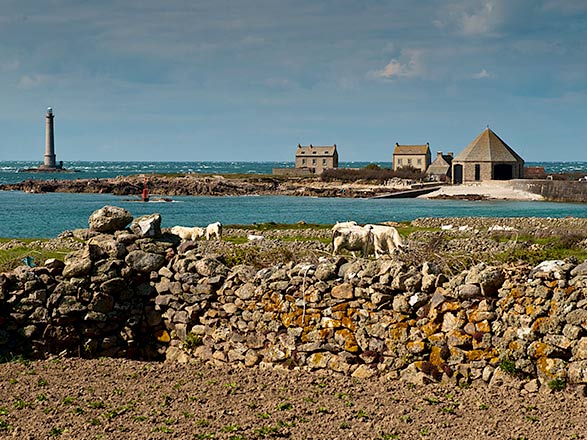 Escale Normandie (Cherbourg)