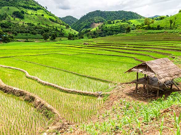Escale Thaïlande (Chiang Khong, Chiang Rai)