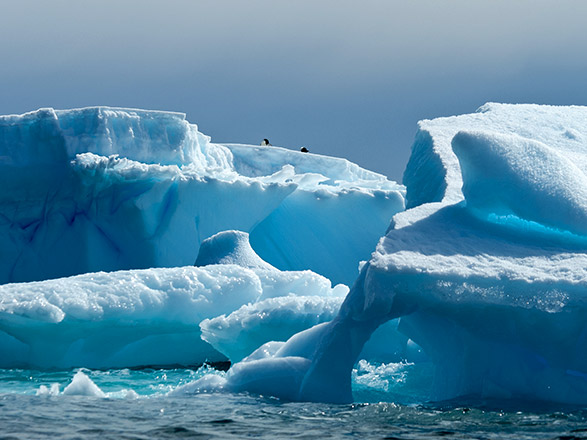 Escale Antarctique 