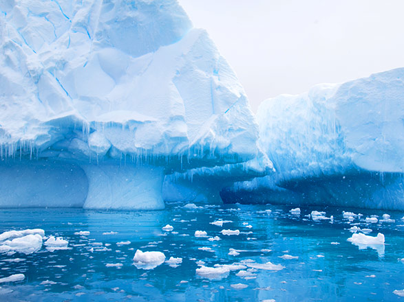 Escale Antarctique 