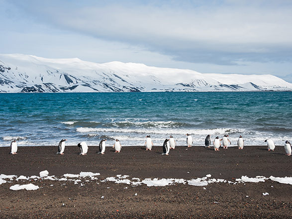 Escale Antarctique