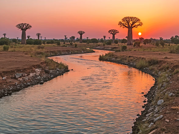 Escale SAINT-LOUIS - DIAMA - TIGUET (PARC DU DJOUDJ)