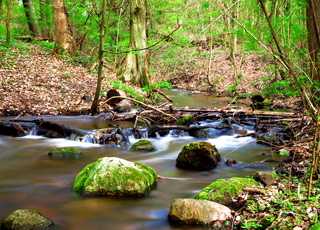 Escale BERLIN SPANDAU - EBERSWALDE