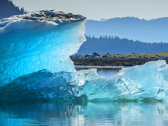 Escale Alaska (Endicott Arm Fjord)