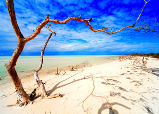 Escale Kiribati (Fanning Island)