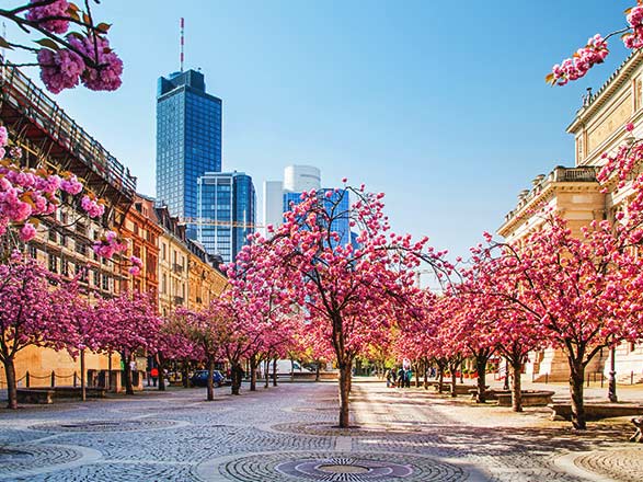 Escale FRANCFORT - RÜDESHEIM (Le Main et le Rhin)