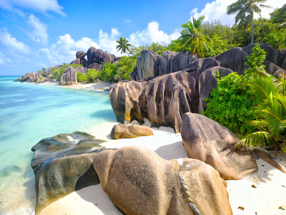 Escale Seychelles (Grande Soeur)