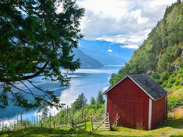 Escale Norvège (Hardangerfjord)