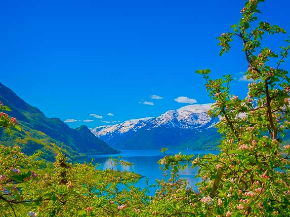 Escale Norvège (Hardangerfjord)