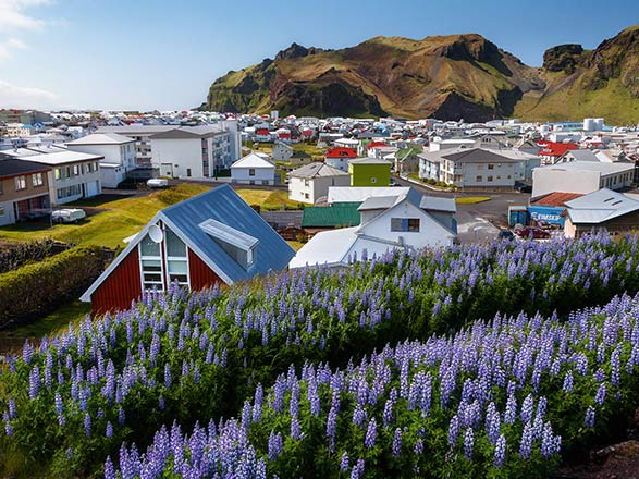 Escale Islande (Ile de Heimaey)