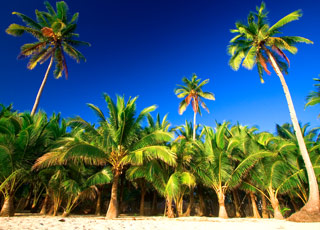 Escale Mexique (Huatulco)